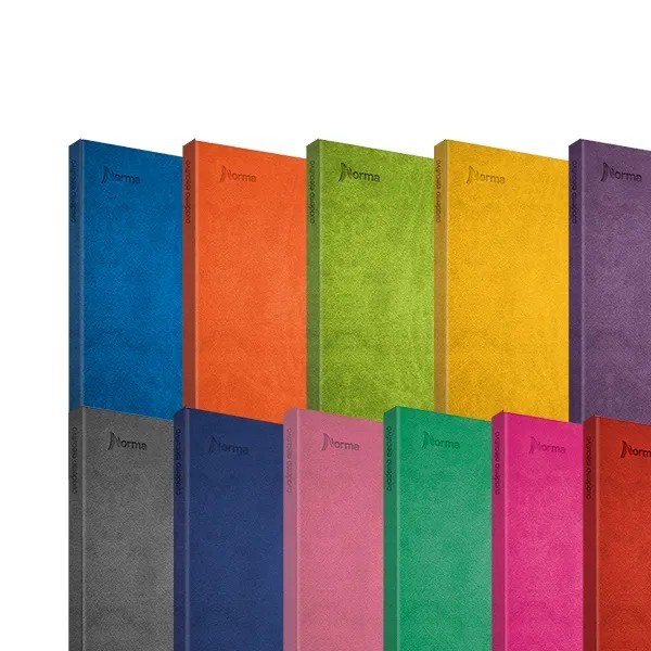 CUADERNO FRANC. DAILY NORMA 580641 RAYA ESP. 100H C12